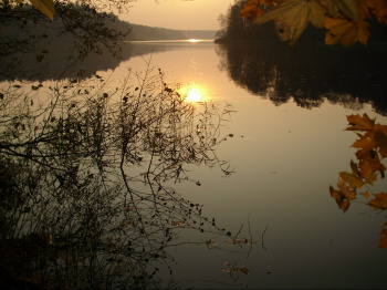 00071_Herbstzauber am Döllnsee_Maik Grosshennig.jpg